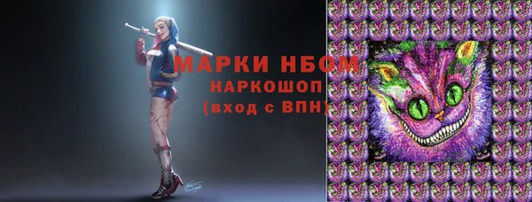 хмурый Осташков