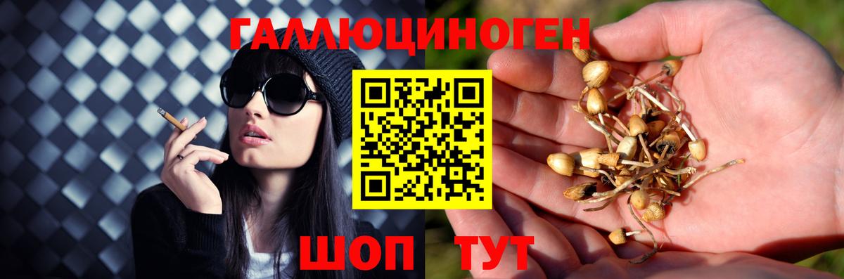 Псилоцибиновые грибы ЛСД Кубинка